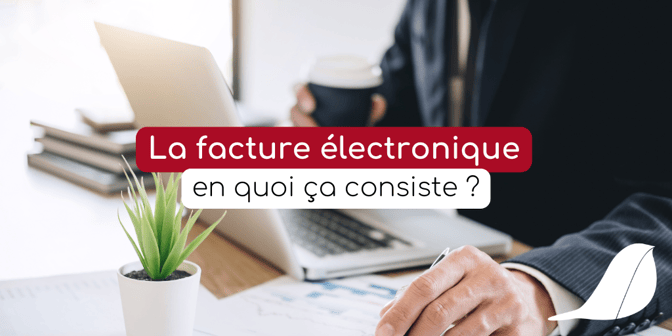 Blog-Robbin-facture-electronique-0125